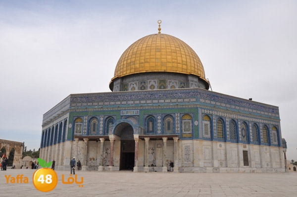 byareq 1201 i (5).JPG